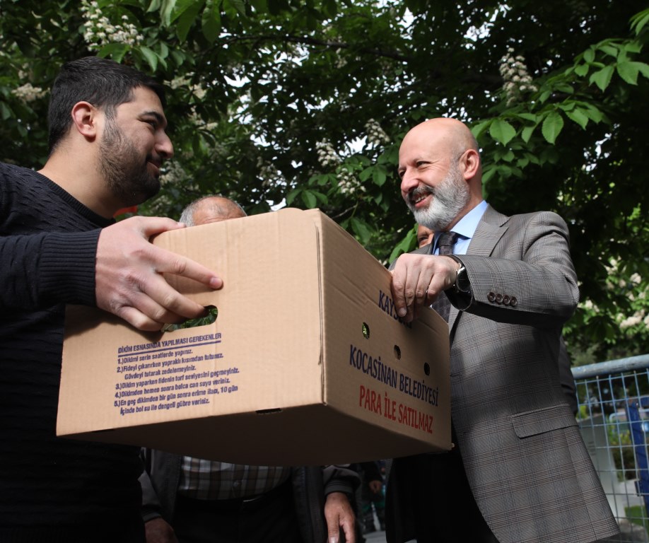 Ücretsiz Domates Fidesi Dağıtılacak
