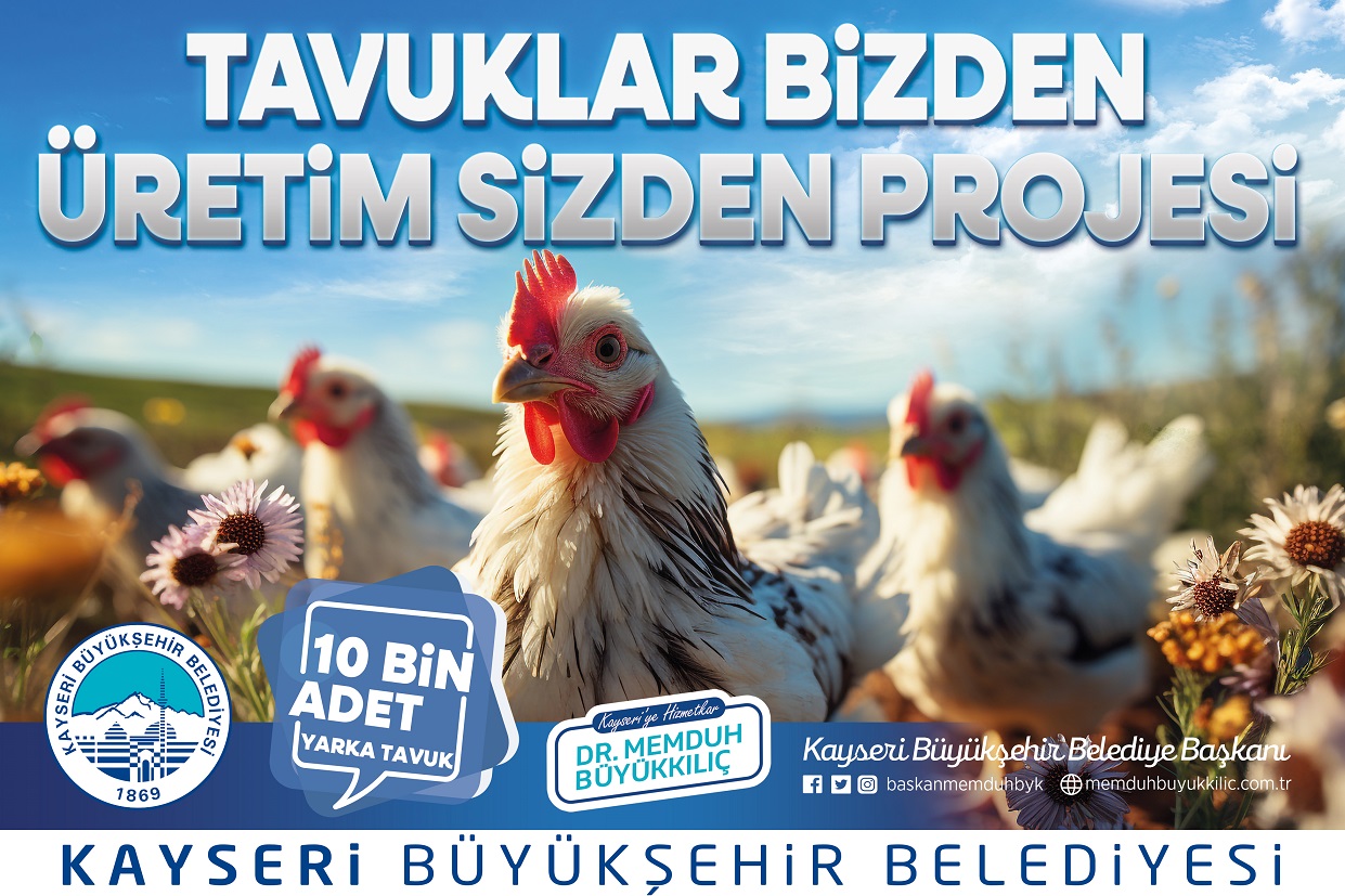 Kayseri’de Ücretsiz Tavuk Dağıtımı Yapılacak