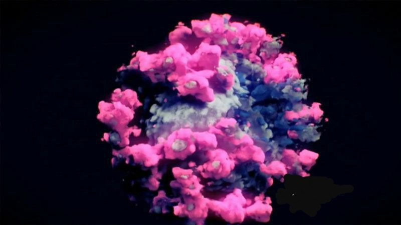 Koronavirüsün Fotoğrafı Çekildi