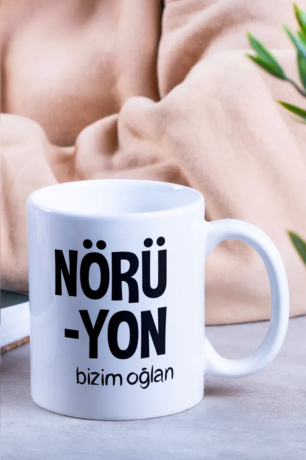 Nörüyon Sözü Nereye Ait ?