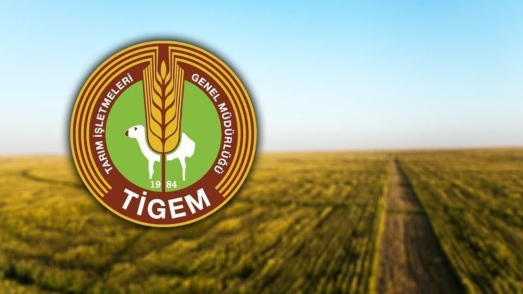 tigem eleman alımı
