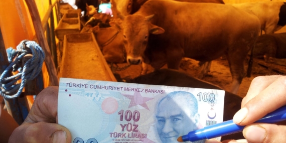 Türk Kızılay Kurban Yardımı başvuruları başladı