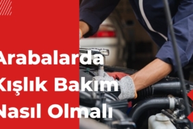 kışlık bakımı nasıl olmalı