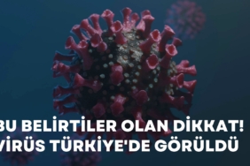 H3N2 grip virüsü