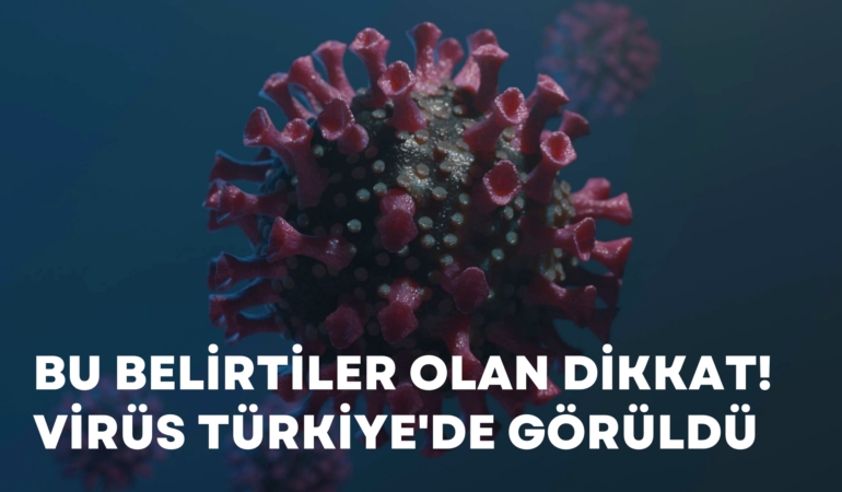 H3N2 grip virüsü