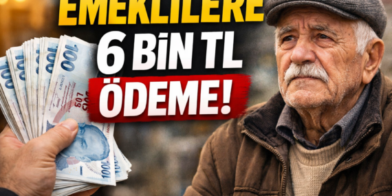 Emeklilere 6 bin tl para verilecek, Başvuru detayları